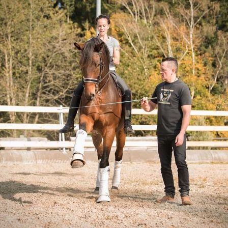 Bild enthält, Animal, Horse, Horseback Riding, Leisure Activities, Mammal, Person