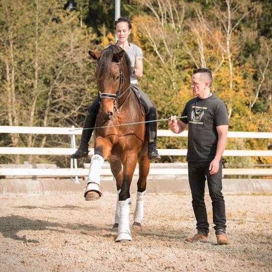 Bild enthält, Animal, Horse, Horseback Riding, Leisure Activities, Mammal, Person