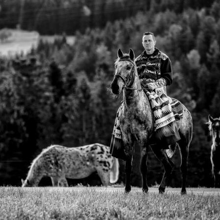 Bild enthält, Animal, Lion, Mammal, Horse, Adult, Male, Man, Person, Horseback Riding, Outdoors