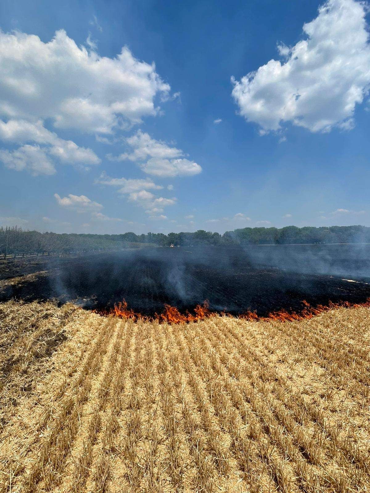 Ein Feld mit trockenem Gras brennt in einem kontrollierten Brand, wobei Rauch aufsteigt und Bäume in der Ferne stehen.