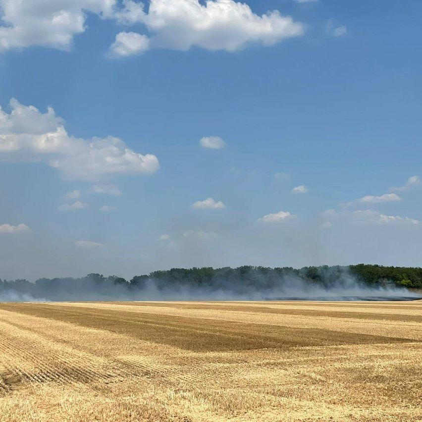 Ein breites Feld aus trockenem Gras mit leichtem Rauch am Horizont unter einem teilweise bewölkten blauen Himmel.