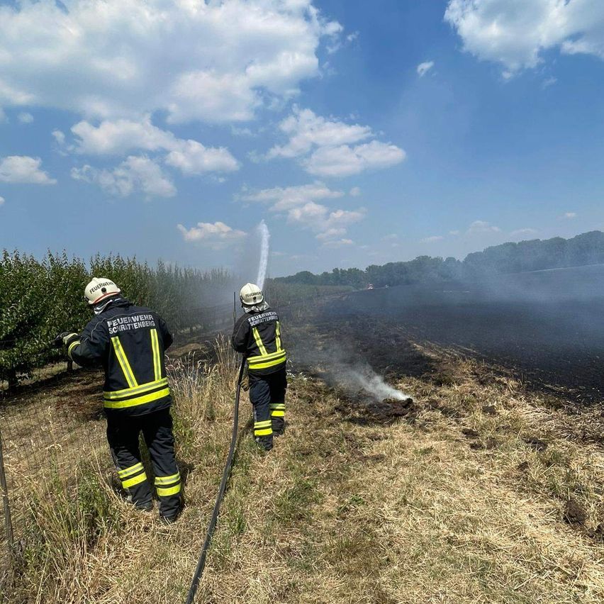 Zwei Feuerwehrleute stehen auf einem Hügel und verwenden Wasserschläuche, um ein Feuer zu löschen, das auf dem Boden brennt. Der Himmel ist blau mit verstreuten Wolken.