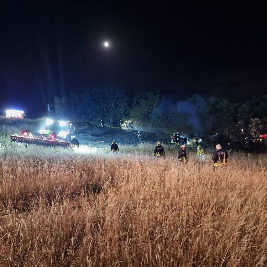 Feuerwehrleute reagieren auf einen Notfall bei Nacht in einem Feld, beleuchtet von Lichtern. Bäume und ein Mond sind im Hintergrund.
