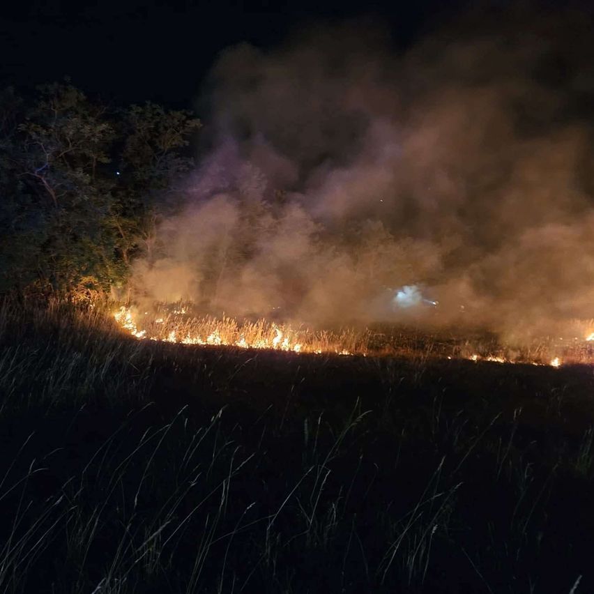 Ein Waldbrand brennt in der Nacht durch ein Grasfeld, mit Rauch, der in den dunklen Himmel aufsteigt.