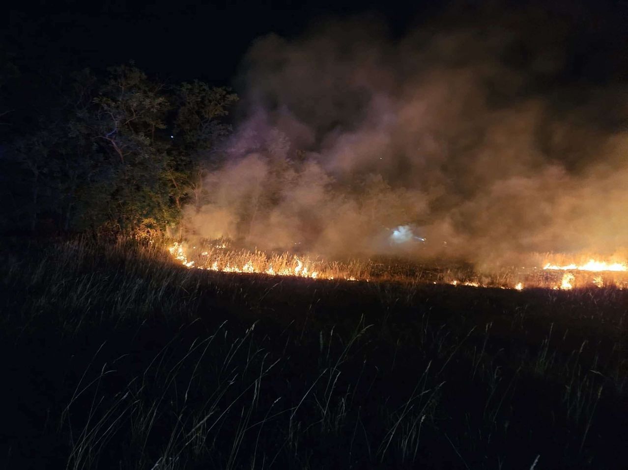 Ein Waldbrand brennt in der Nacht durch ein Grasfeld, mit Rauch, der in den dunklen Himmel aufsteigt.