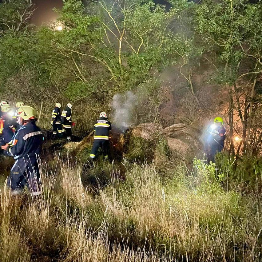 Eine Gruppe Feuerwehrleute in Helmen bekämpft einen Brand bei Nacht und benutzt Taschenlampen, um den dunklen Wald zu navigieren.