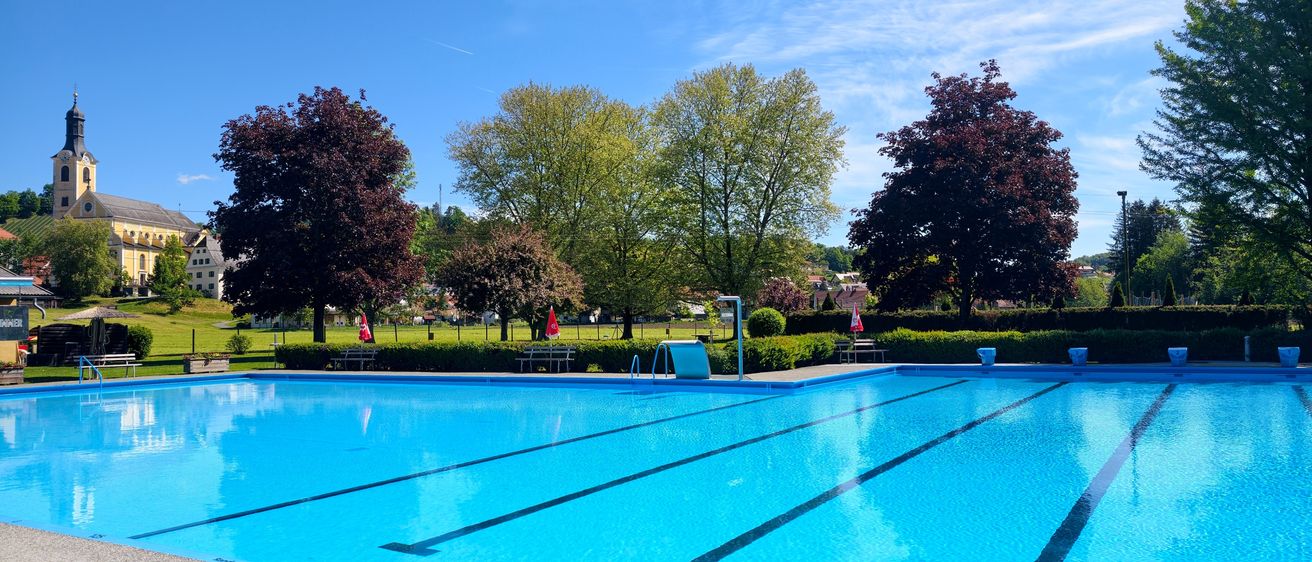 Ein Freibad mit blauem Wasser umgeben von grünen Bäumen und Büschen unter einem klaren blauen Himmel.