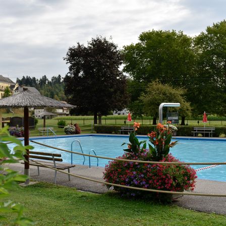 Ein leerer Swimmingpool, umgeben von grünem Gras, mit einer Bank und Blumen in der Nähe. Bäume und Häuser sind in der Ferne unter einem bewölkten Himmel.