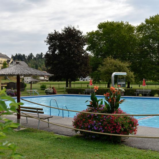 Ein leerer Swimmingpool, umgeben von grünem Gras, mit einer Bank und Blumen in der Nähe. Bäume und Häuser sind in der Ferne unter einem bewölkten Himmel.