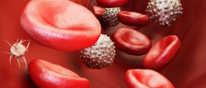 Bildschirmfoto2024-01-16um13.13.36