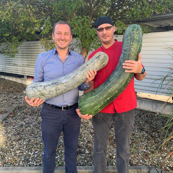 Bild enthält, Produce, Squash, Pants, Person, Photography, Portrait, Zucchini, Vegetation, Tree, Man