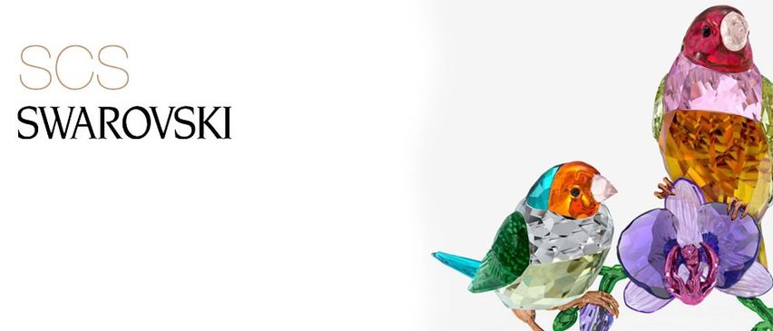 Bild enthält, Animal, Bird, Finch, Parakeet, Parrot