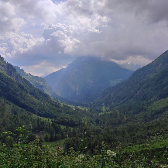 Mountain, Nature, Outdoors, Mountain Range, Valley, Slope, Scenery, Wilderness, Peak, Tree