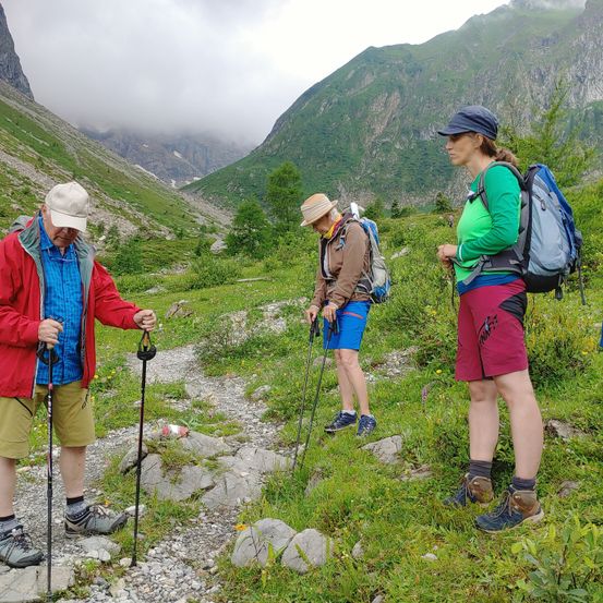 Hiking, Person, Bag, Shorts, Boy, Child, Male, Backpack, Jacket, Walking