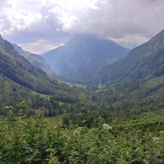 Mountain, Nature, Outdoors, Mountain Range, Slope, Valley, Wilderness, Tree, Peak, Scenery
