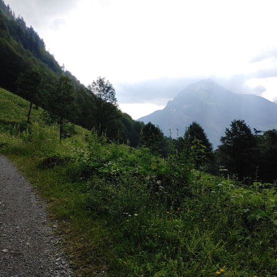 Gravel, Road, Fir, Tree, Slope, Outdoors, Nature, Scenery, Mountain Range, Countryside