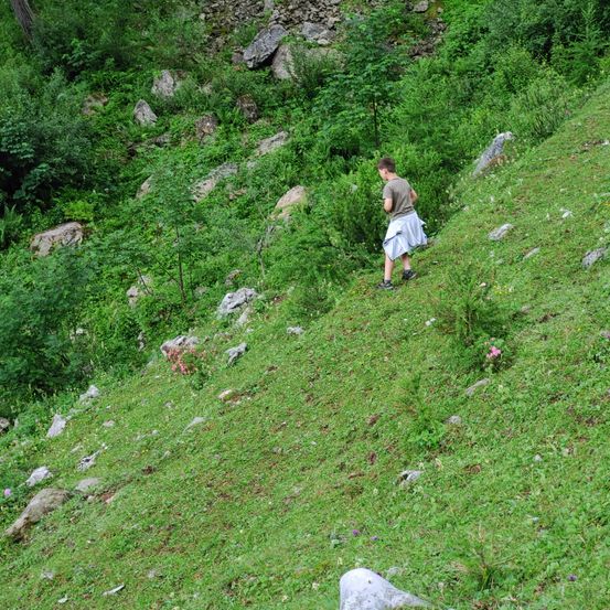 Grass, Slope, Grassland, Nature, Outdoors, Rock, Person, Vegetation, Hiking, Tree