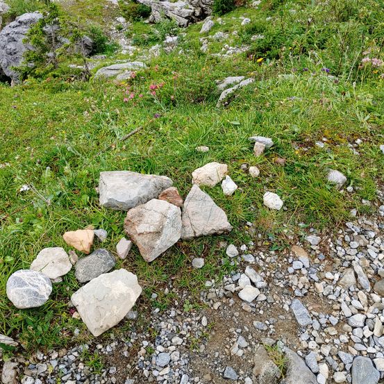 Rubble, Rock, Road, Gravel, Plant