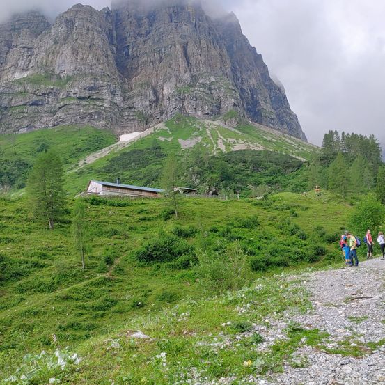 Gravel, Road, Fir, Nature, Outdoors, Mountain Range, Slope, Scenery, Hiking, Peak