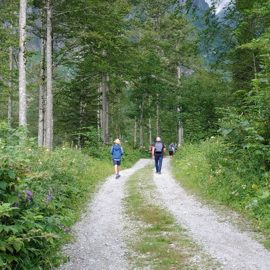 Path, Nature, Outdoors, Trail, Person, Walking, Hiking, Vegetation, Tree, Gravel