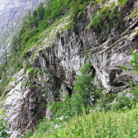 Cliff, Nature, Outdoors, Slope, Wilderness, Rock, Plant, Tree, Fir, Mountain