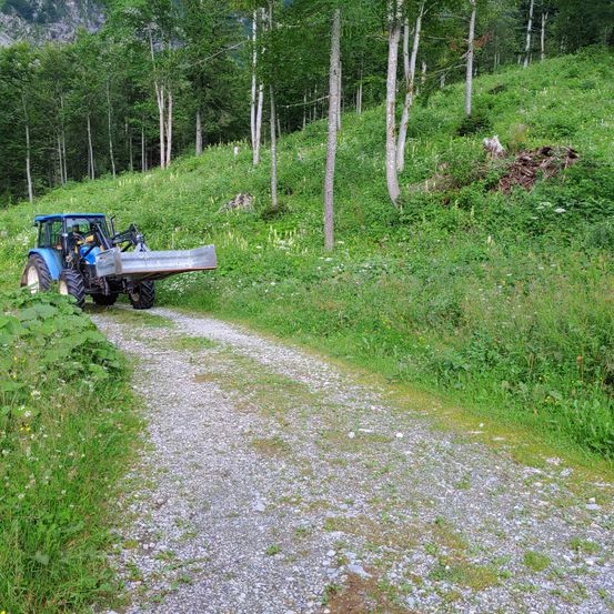 Gravel, Road, Wheel, Path, Outdoors, Nature, Vegetation, Tree, Land, Car
