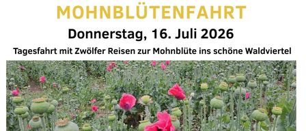 Ein Bild eines Flyers für eine Mohnblumen-Beobachtungstour am 16. Juli 2026. Es beinhaltet einen Zeitplan mit Besuchen im Mohnmuseum, Mittagessen und einer geführten Tour.