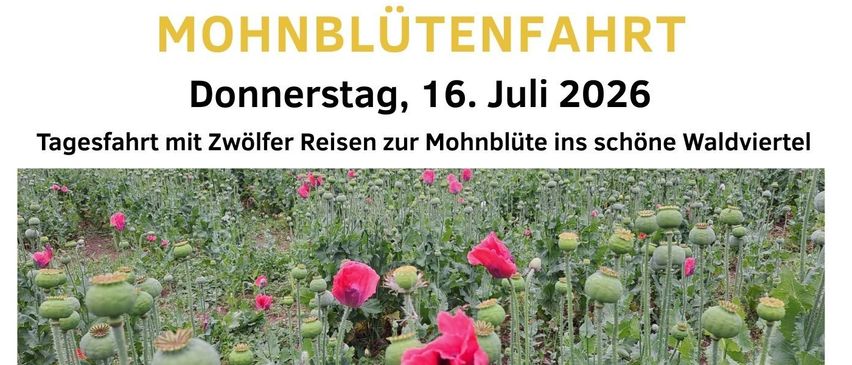Ein Bild eines Flyers für eine Mohnblumen-Beobachtungstour am 16. Juli 2026. Es beinhaltet einen Zeitplan mit Besuchen im Mohnmuseum, Mittagessen und einer geführten Tour.