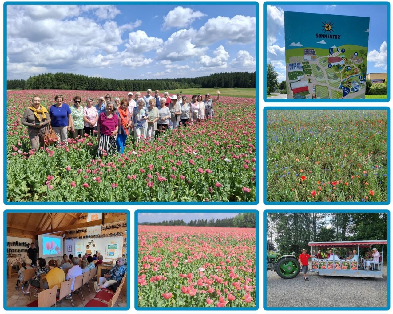 Eine Collage von Bildern, die eine Gruppe von Menschen in einem Mohnfeld, eine Karte eines Bauernhofs, ein Blumenfeld, einen Traktor und eine Gruppe von Menschen in einem Raum zeigt.