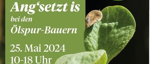 Bild enthält, Leaf, Bud, Flower, Food, Produce