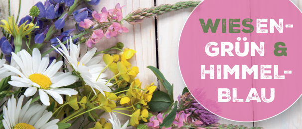 Ein Poster zeigt verschiedene Blumen auf einem hölzernen Hintergrund mit dem Text 'Wiesen-Grun & Himmel-Blau', Datum '28. Juni 2026' und Zeit '10 bis 18 Uhr'.