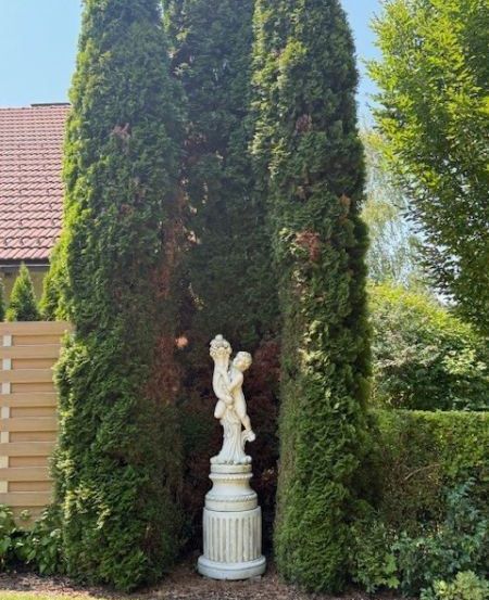 Ein Garten zeigt eine weiße Statue zwischen zwei großen Hecken, vor dem Hintergrund eines Hauses und Sträuchern.