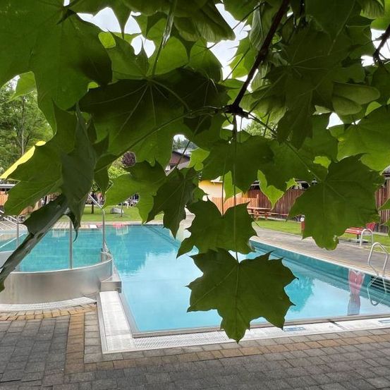 Ein Schwimmbecken mit Sprungbrett ist von Bäumen und Gras umgeben. Seitlich stehen Stühle und Tische.