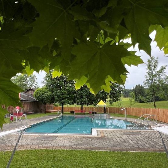 Ein Freibad, umgeben von einem Holzzaun und grünem Rasen. Bäume und ein Haus im Hintergrund. Stühle und ein gelber Baldachin sind in der Nähe des Pools.