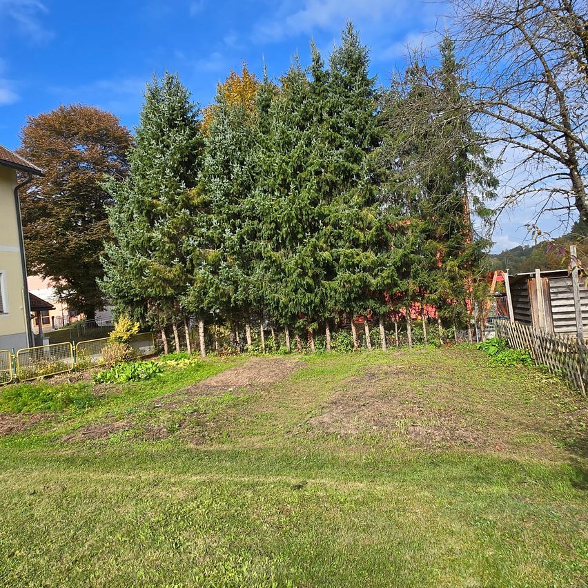 Ein Hinterhof mit einem Grasbereich, umgeben von Bäumen und einem Holzzaun. In der linken Ecke befindet sich ein gelber Zaun. Hinter den Bäumen steht ein Haus.