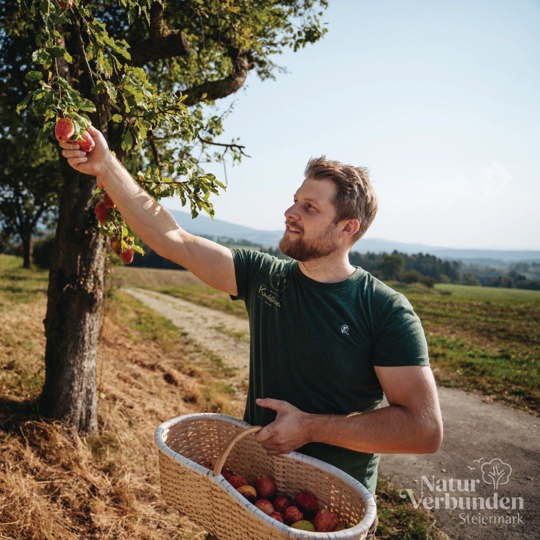 Ein Mann in einem grünen T-Shirt pflückt Äpfel von einem Baum in einer ländlichen Umgebung. Er hält einen Korb voller Äpfel. Hinter ihm befindet sich ein Grasfeld mit einem Feldweg und Bergen in der Ferne.