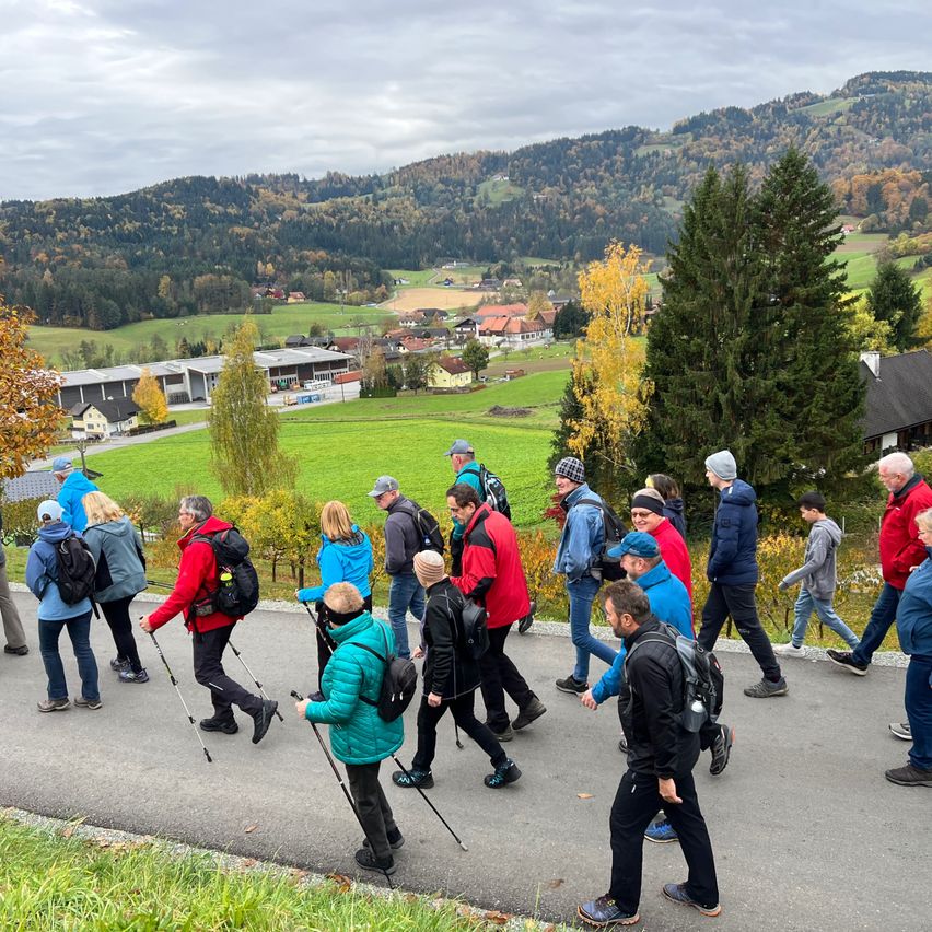 Eine Gruppe von Wanderern geht auf einem Weg, umgeben von grünen Feldern und Bergen im Hintergrund. Bäume säumen den Weg, und Gebäude sind in der Ferne sichtbar.