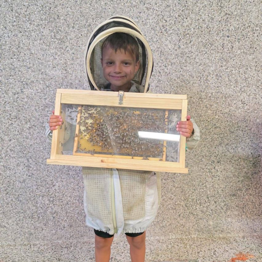 Ein junger Junge in einem Imkeranzug hält einen Holzrahmen mit einem Bienenstock und Bienen. Er lächelt fröhlich.