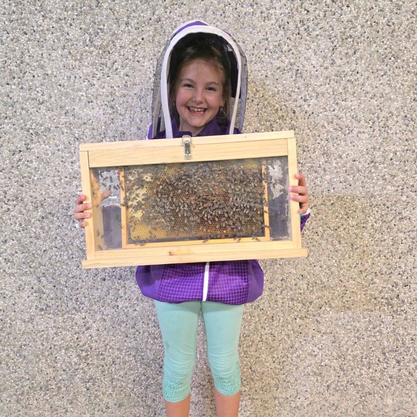 Ein junges Mädchen in einem lila Outfit und Bienenschutz hält einen Holzrahmen mit einem Bienenwaben und Bienen.