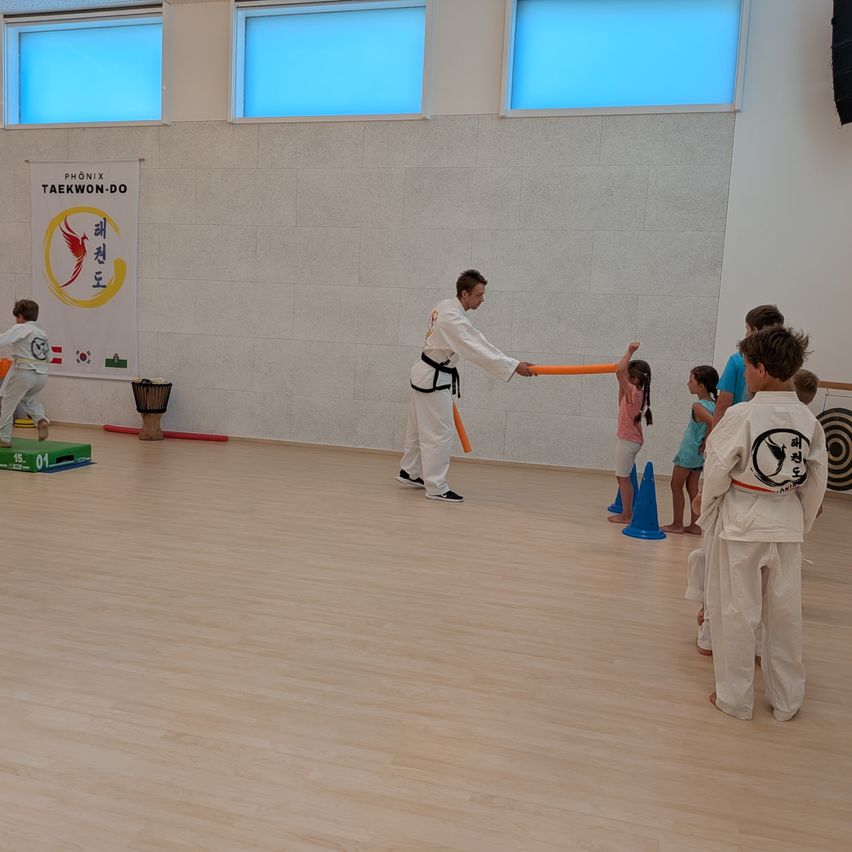 Ein Kampfsportkurs mit Kindern, die mit Stöcken und Hütchen auf einem Holzboden üben.