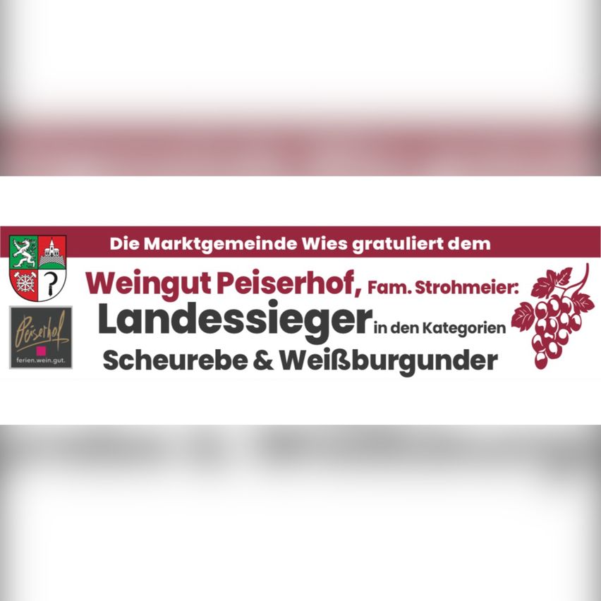 Ein Banner, das die Weingut Peisenhof-Weinerei bewirbt. Die Marktgemeinde Wies gratuliert ihnen, Landessieger in den Kategorien Scheurebe & Weißburgunder zu sein.