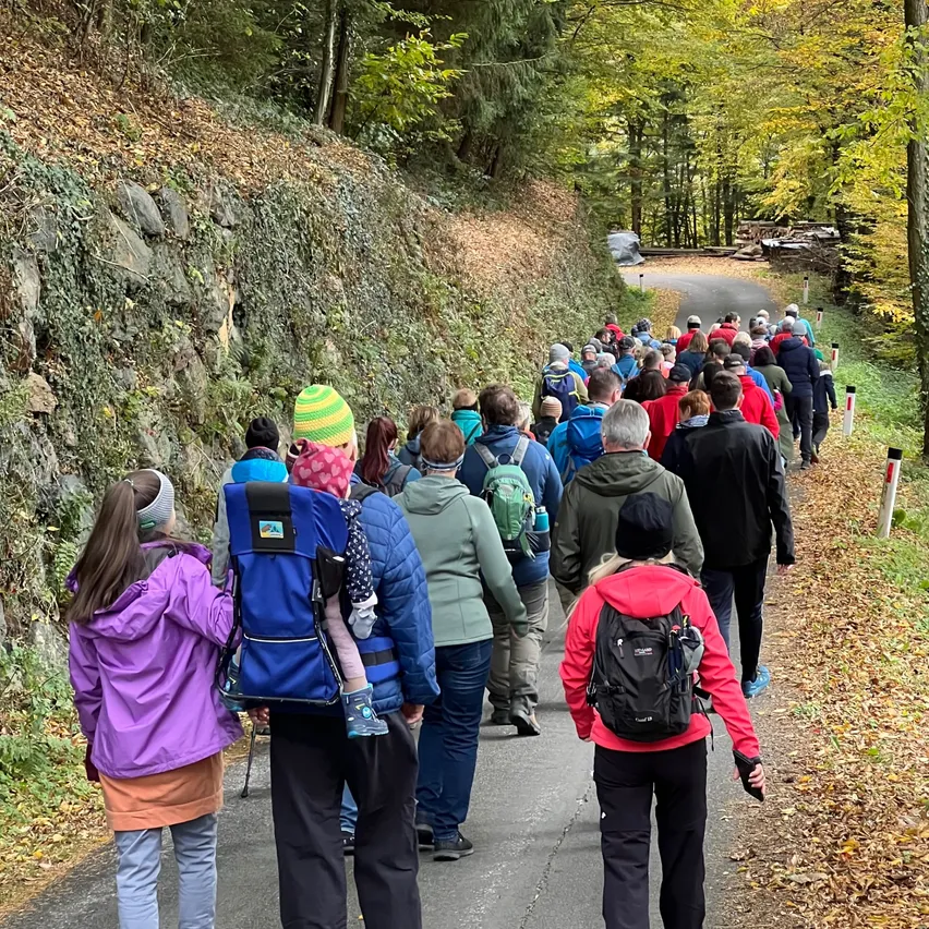 Wandergruppe im Herbstwald bei Wien mit vielen bunten Blättern auf dem Weg