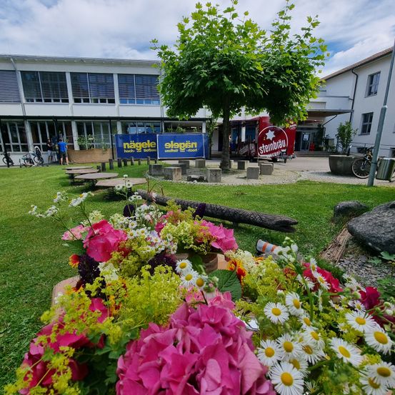 Bild enthält, Flower, Flower Arrangement, Flower Bouquet, Geranium, Grass, Petal, Summer, Neighborhood, Garden, Building