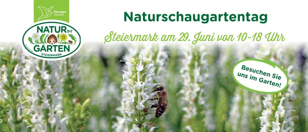 Ein Veranstaltungsplakat für Naturschaugarten in Steiermark, geplant für den 29. Juni. Eine Biene ist auf einer weißen Blume mit üppigem grünem Laub im Hintergrund zu sehen. Besuchen Sie www.naturschaugarten.at.