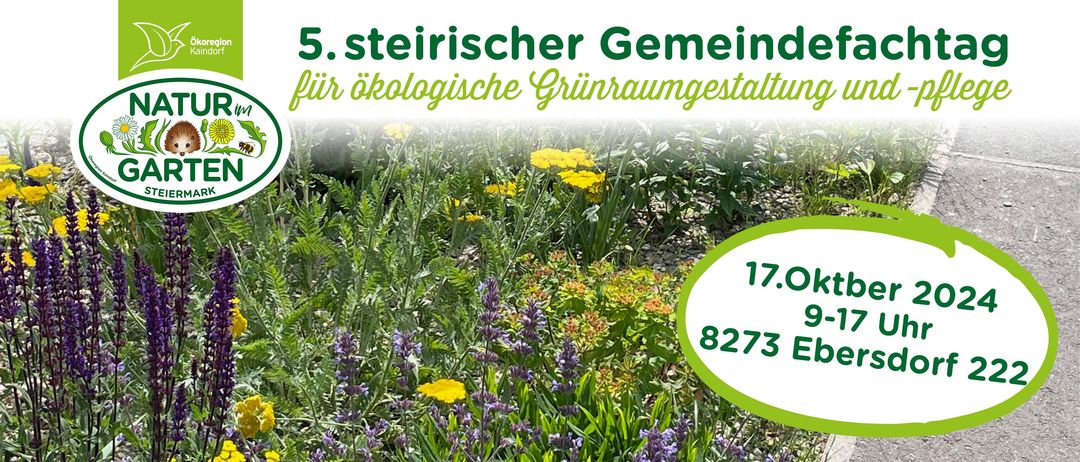 Bild enthält, Herbal, Herbs, Plant, Vegetation, Flower, Lavender, Garden, Nature, Outdoors, Grass