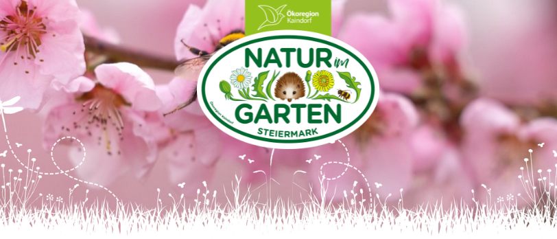 Bild enthält, Flower, Plant, Cherry Blossom, Outdoors, Food, Fruit, Produce