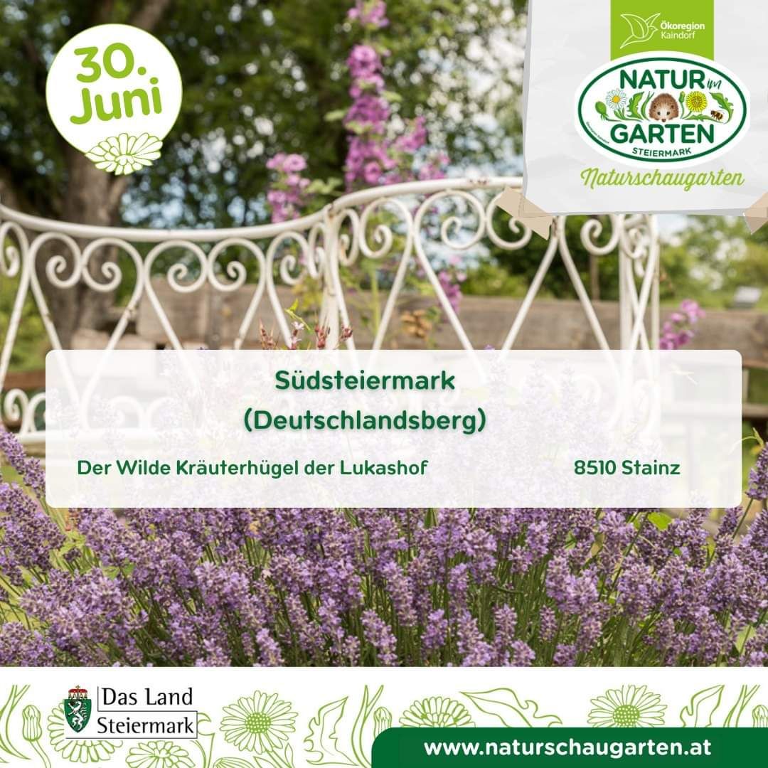 Bild enthält, Flower, Plant, Lavender, Business Card, Paper, Text, Vegetation, Herbal, Grass, Advertisement