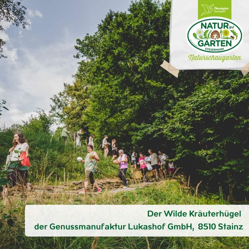 Bild enthält, Vegetation, Land, Tree, Woodland, Grass, Park, Walking, Grove, Path, Trail