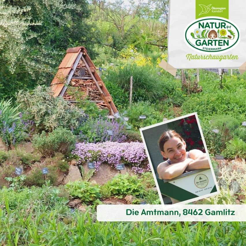 Bild enthält, Herbal, Vegetation, Garden, Nature, Outdoors, Backyard, Yard, Grass, Woodland, Moss