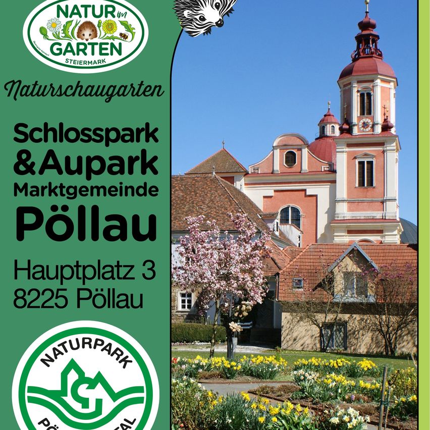Ein Poster für Naturpark Pollau in Österreich, das einen Garten mit Blumen, einer Kirche und einem Glockenturm zeigt. Adresse: Hauptplatz 3, 8225 Pollau.